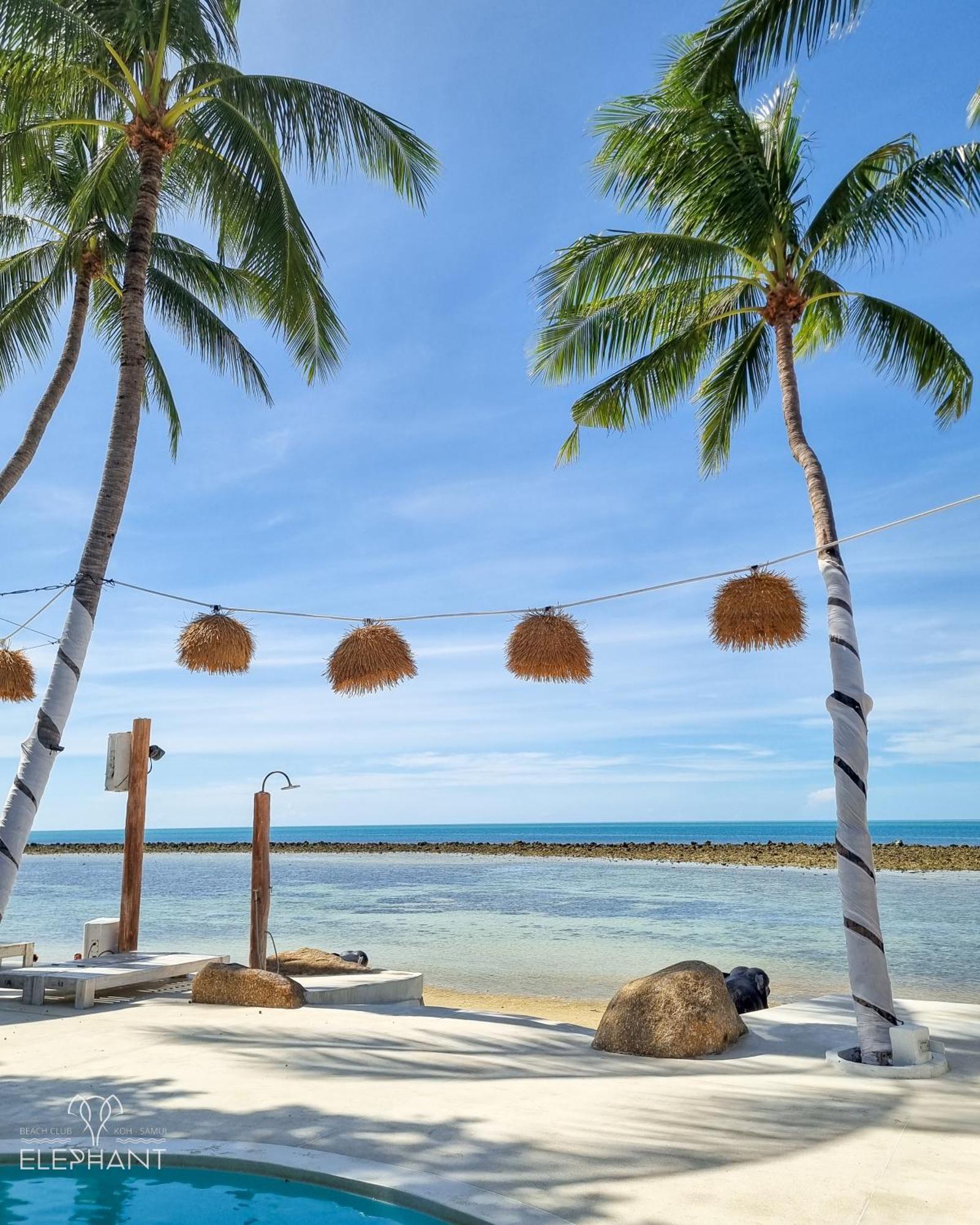Elephant Beach Club & Resort Samui شاطئ تشاوينغ المظهر الخارجي الصورة